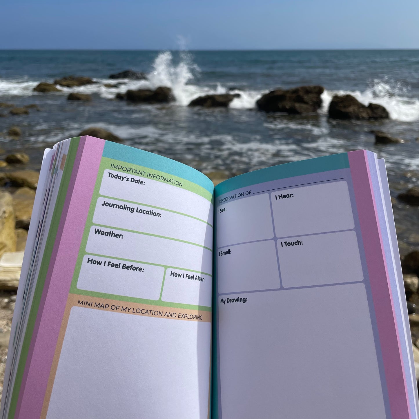 Coastal California Nature Journal (Magic Seashell Mysteries Supplemental Journal)
