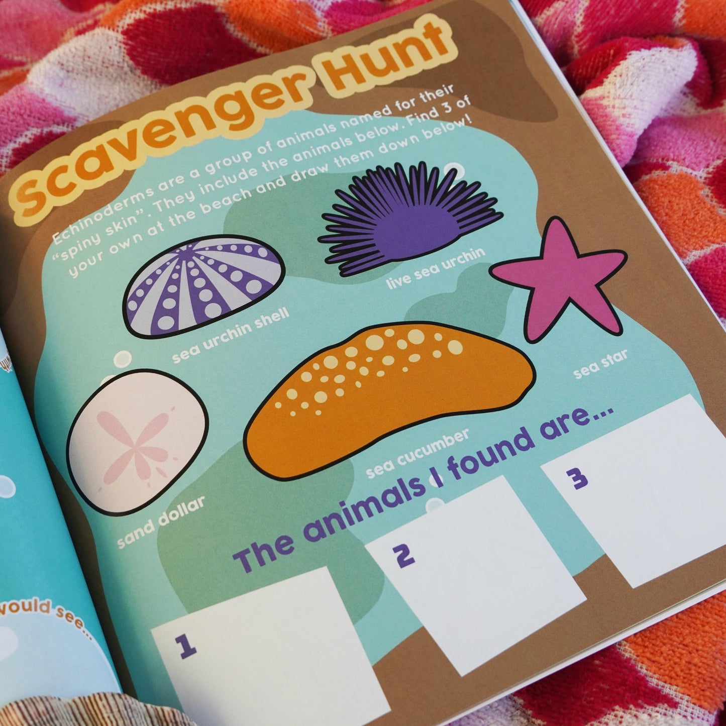 Sea Everything: An Ocean Discovery Journal