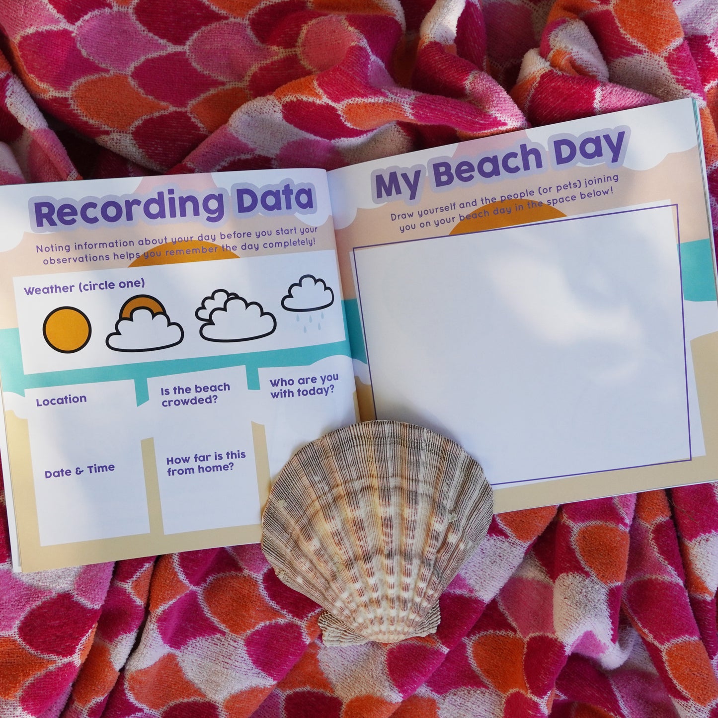 Sea Everything: An Ocean Discovery Journal