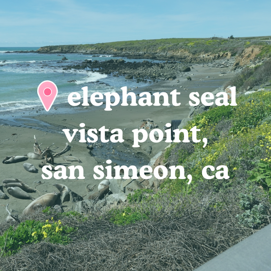 📍 Elephant Seal Vista Point, San Simeon, CA