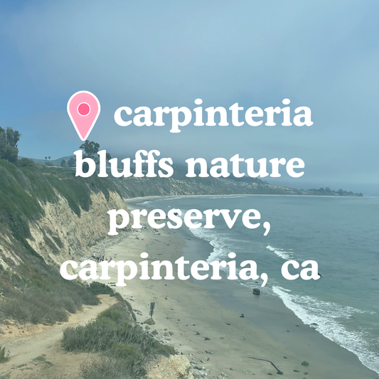 📍 Carpinteria Bluffs Nature Preserve, Carpinteria, CA