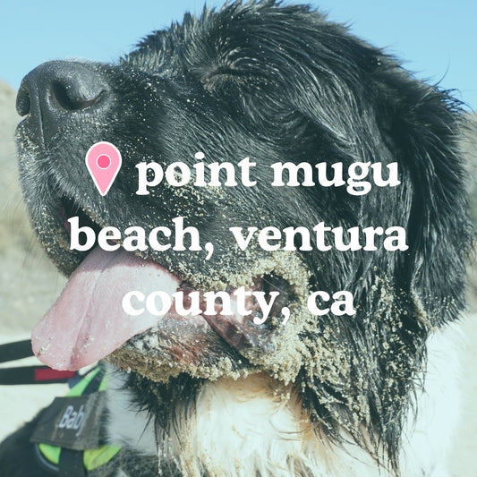 📍 Point Mugu Beach, Ventura County, CA