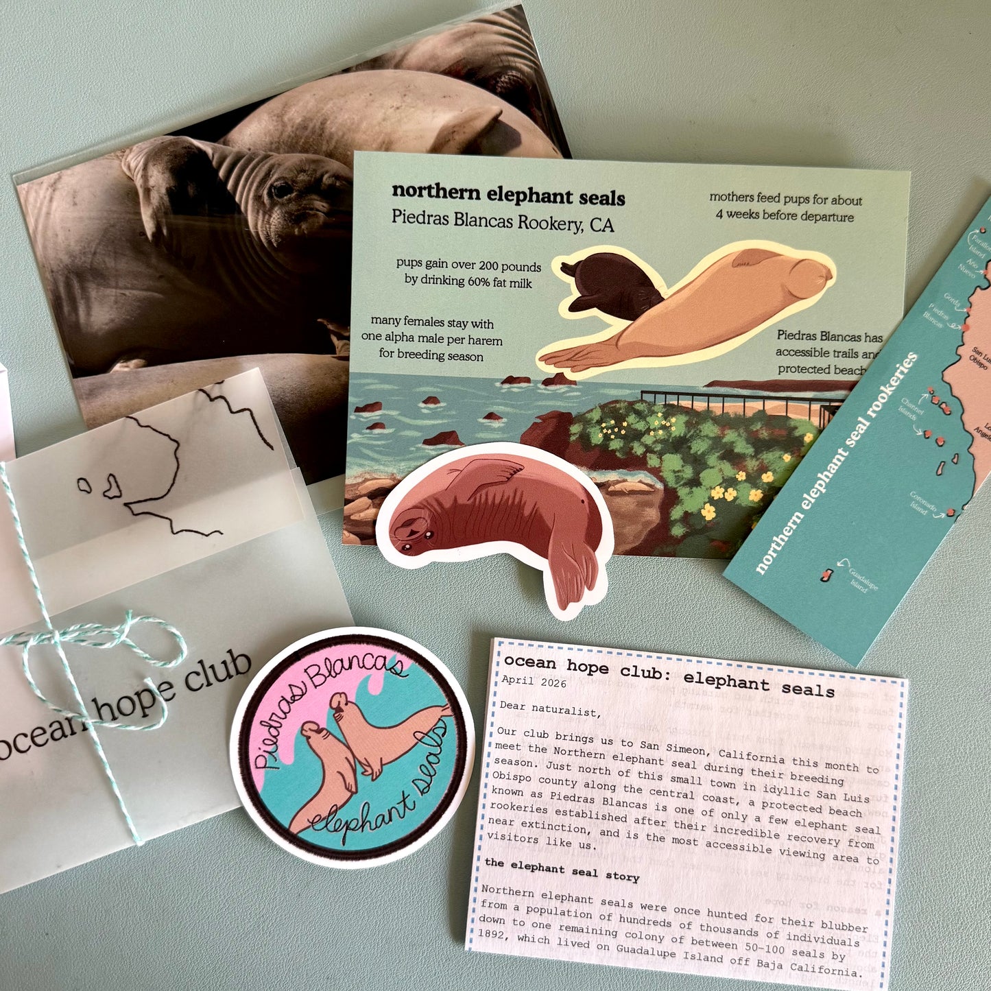 Ocean Hope Club: Monthly Subscription