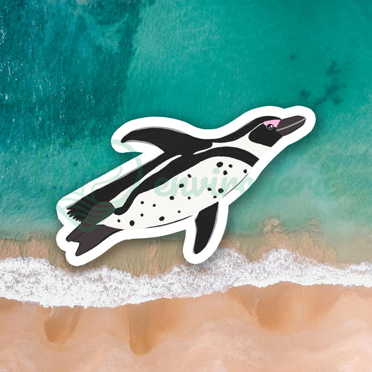 African penguin sticker