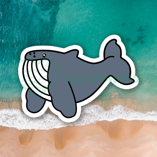 Humpback whale sticker