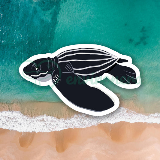 Leatherback sea turtle baby sticker