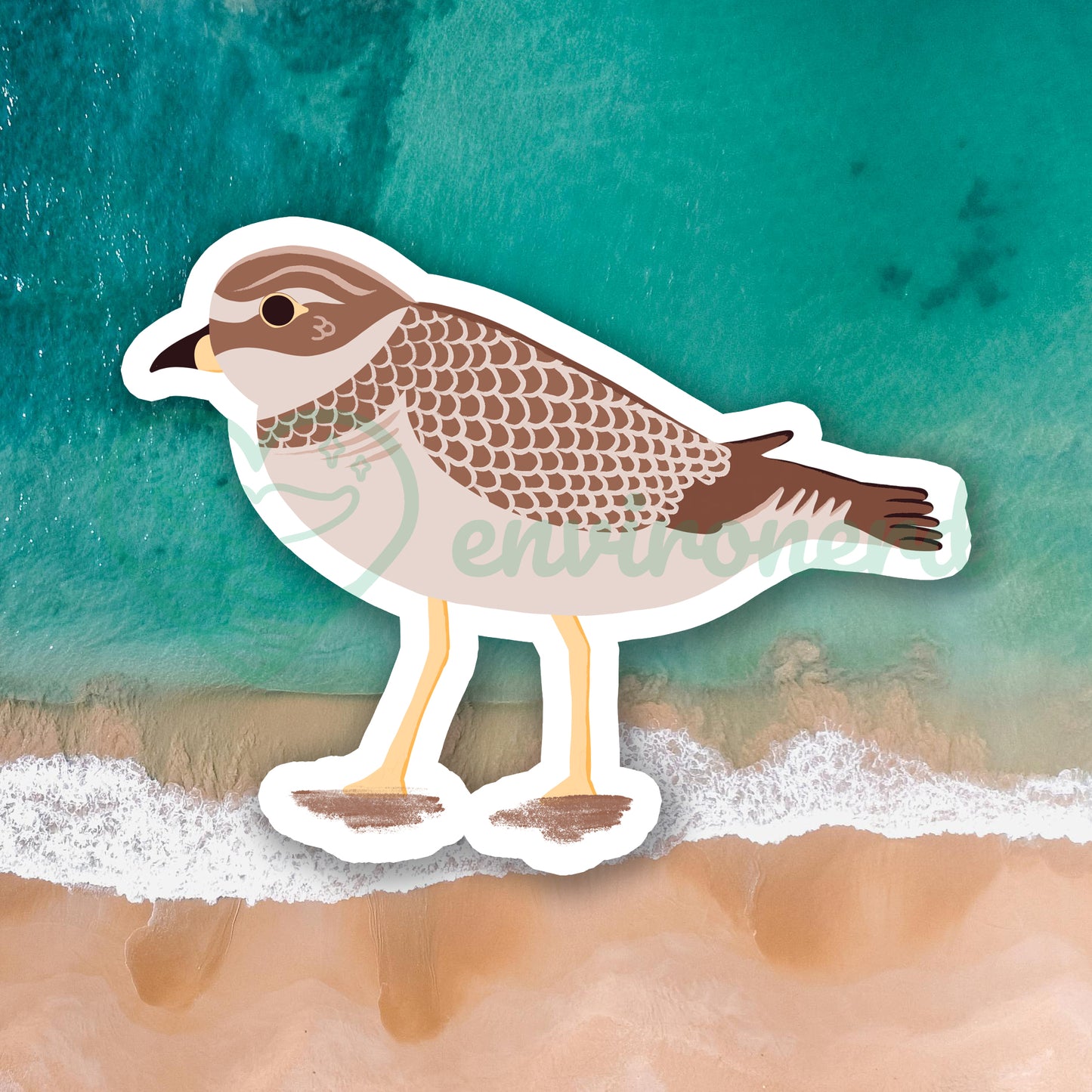 Plover sticker