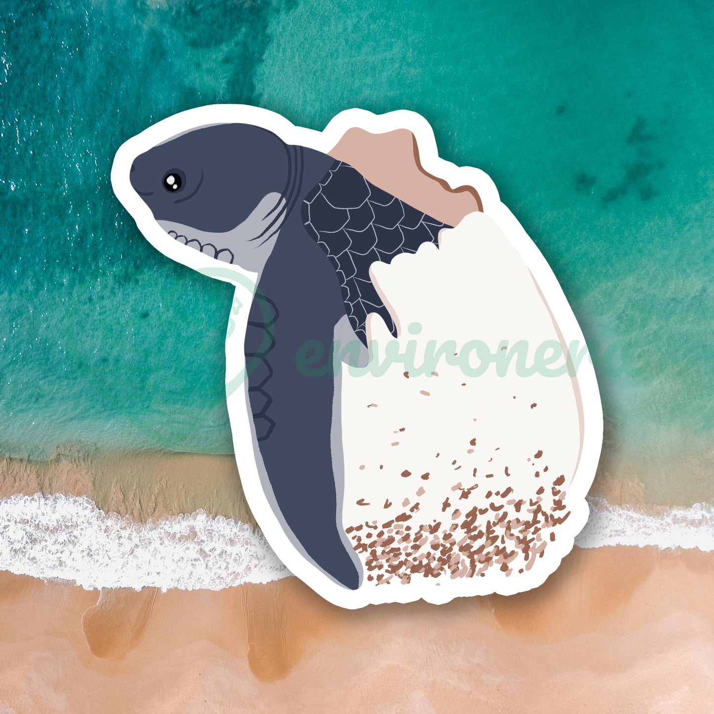 Sea turtle hatchling sticker