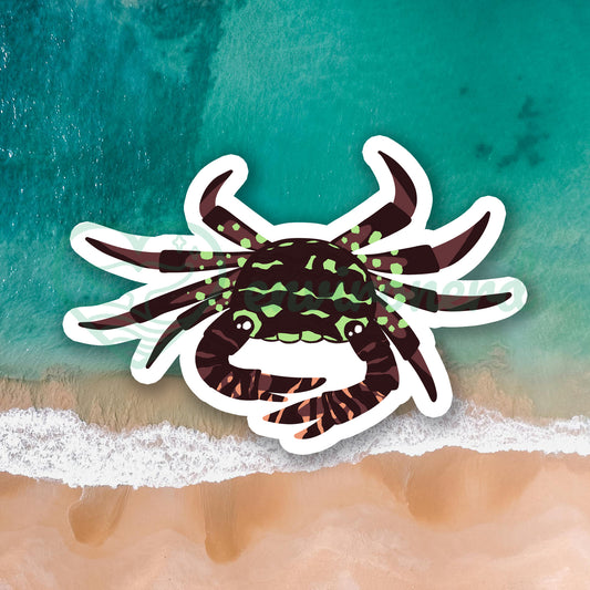 Shore crab sticker