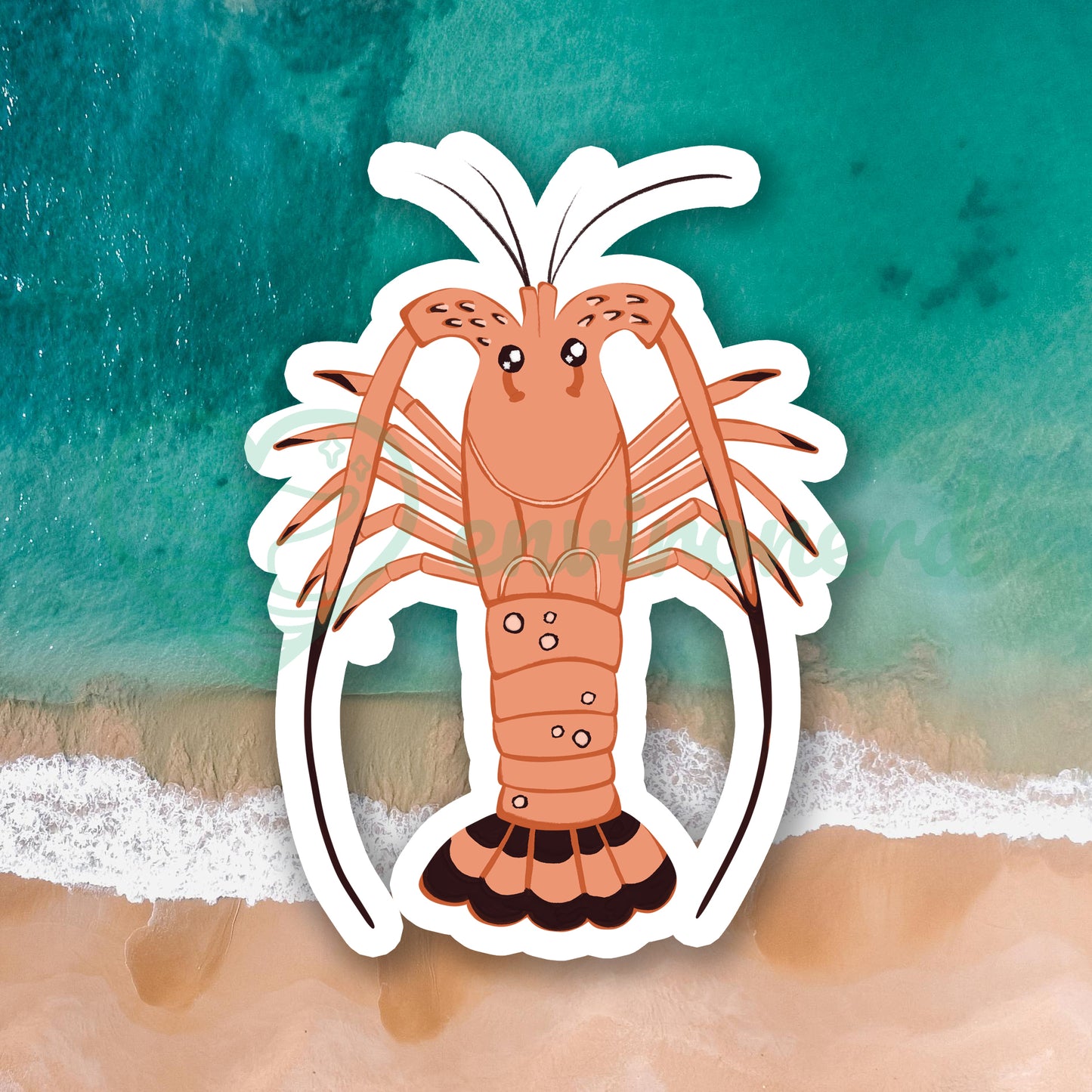 Spiny lobster sticker