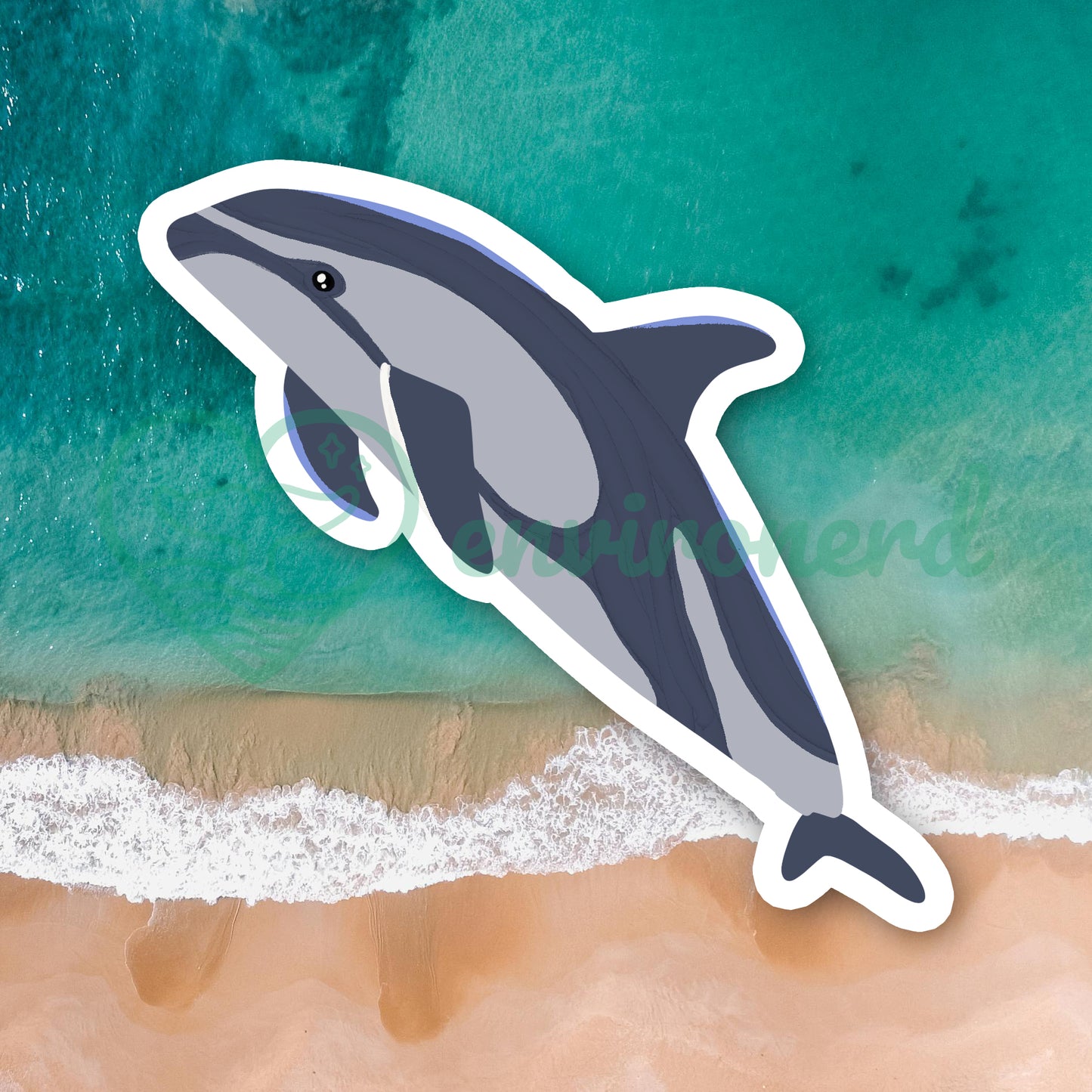 White sided dolphin sticker