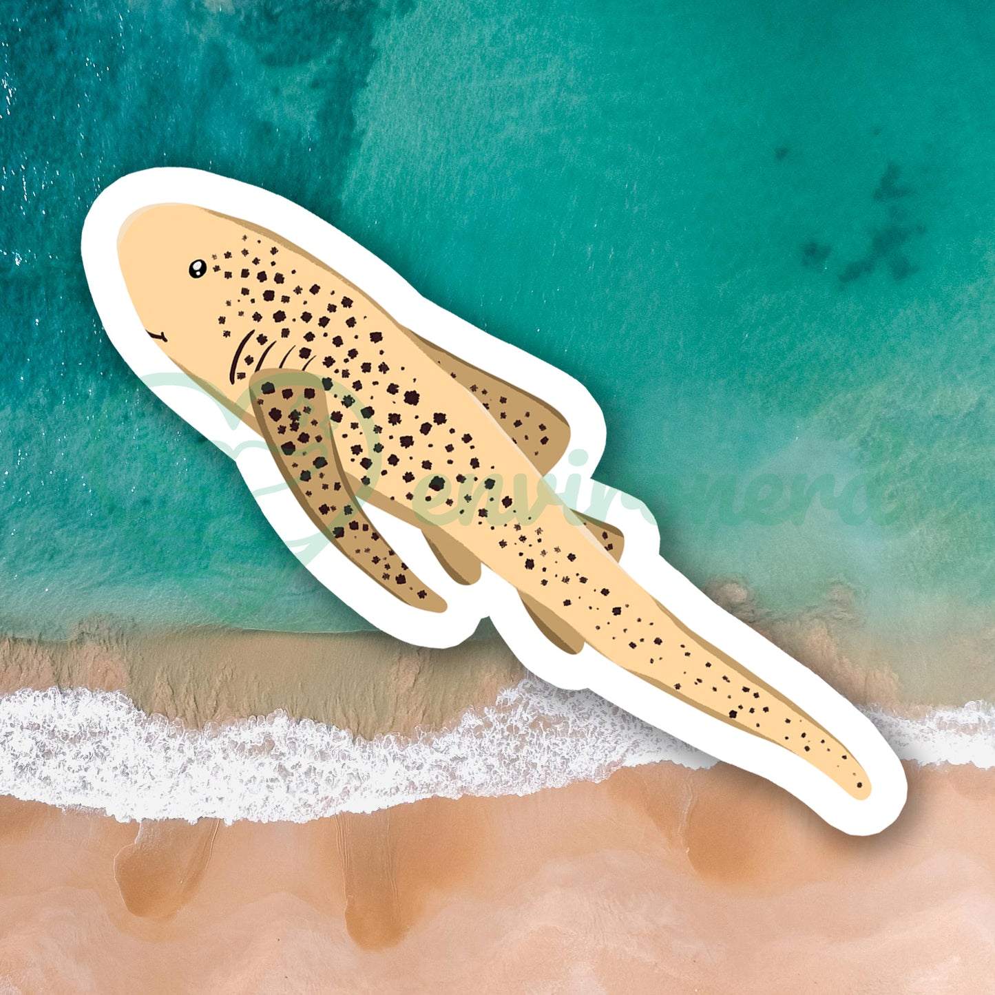 Zebra shark sticker